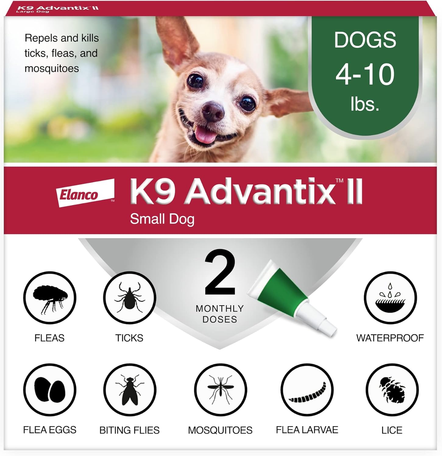 Small Dogs 4–10 lbs